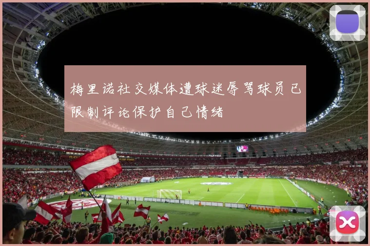 梅里诺社交媒体遭球迷辱骂球员已限制评论保护自己情绪